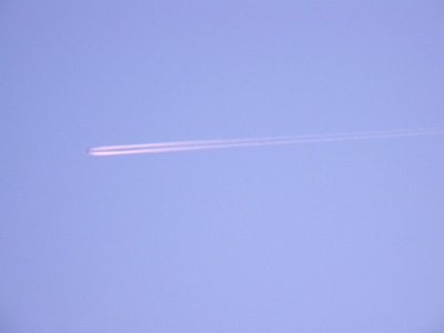 c0017802_1641333.jpg