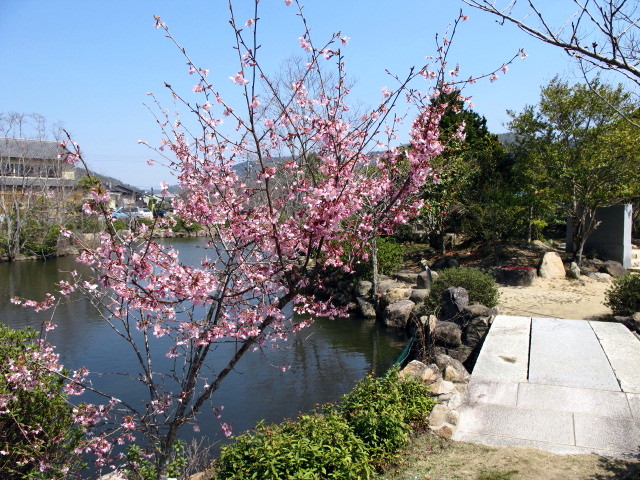 c0036203_18462996.jpg