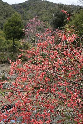 a0188405_23115127.jpg