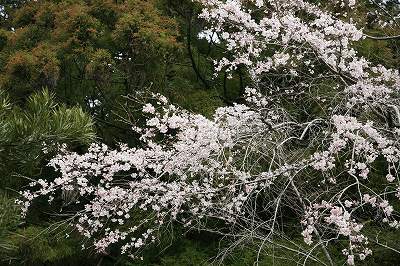 a0188405_2342028.jpg