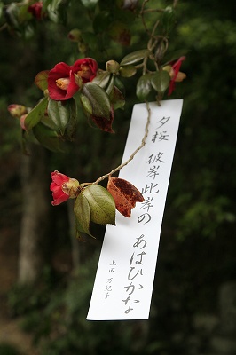 a0188405_2371823.jpg