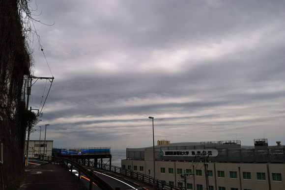 e0224407_2174643.jpg