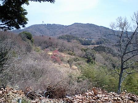 f0008510_17124739.jpg