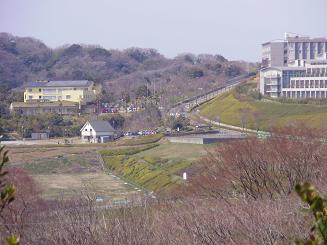 f0008510_171428100.jpg