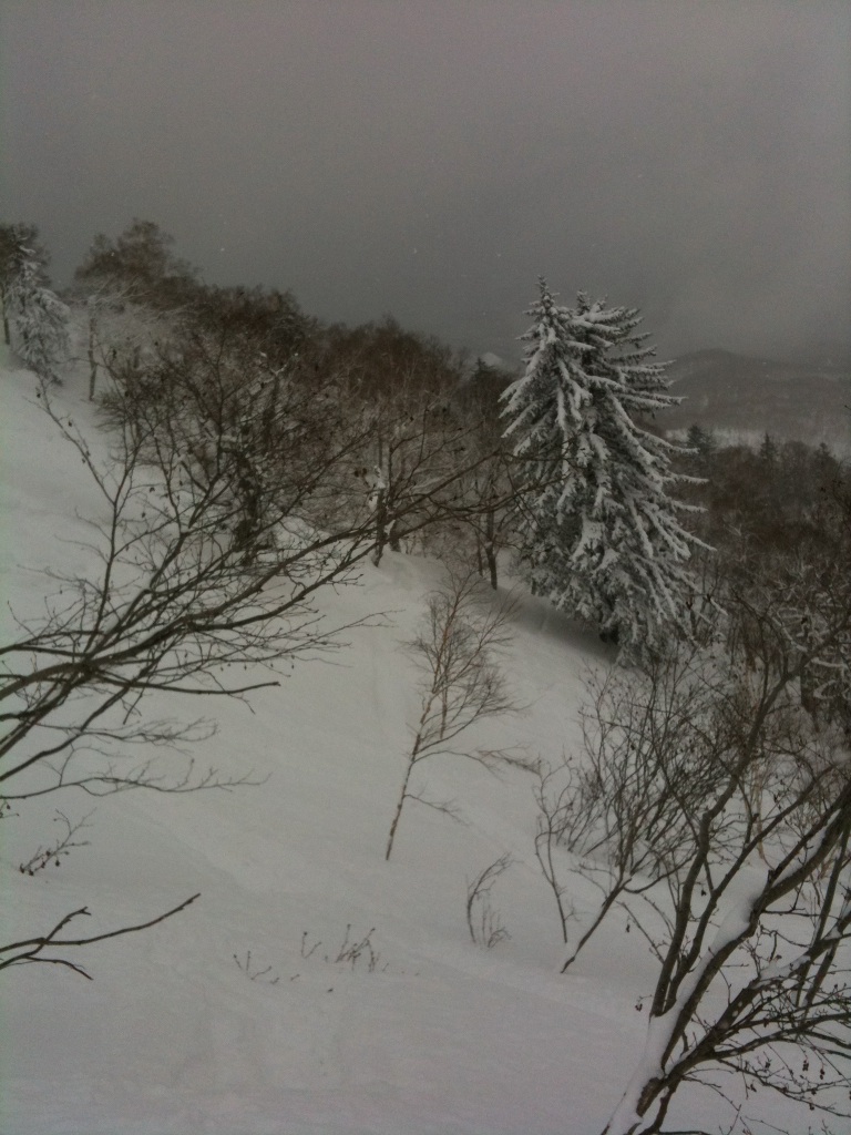 c0153411_16361193.jpg