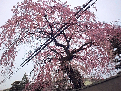 c0156212_20111661.jpg