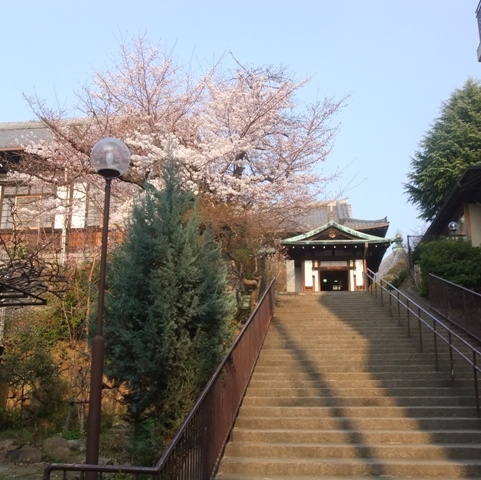 d0007913_2221572.jpg