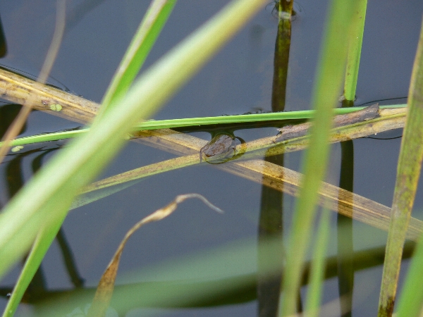 e0002314_21405228.jpg