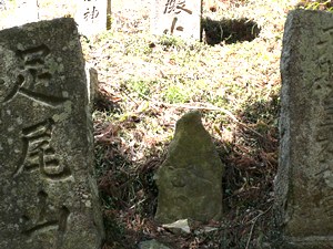 e0097615_1428595.jpg