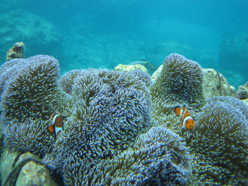a0100818_22245662.jpg