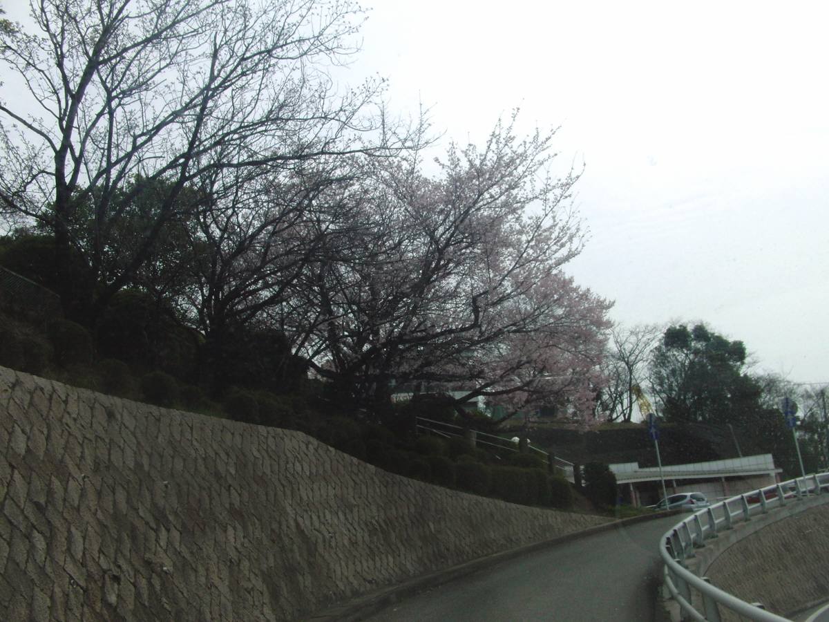 c0020725_19324058.jpg