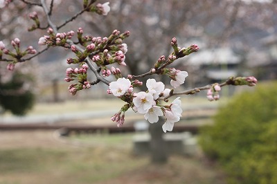 e0181928_20153397.jpg