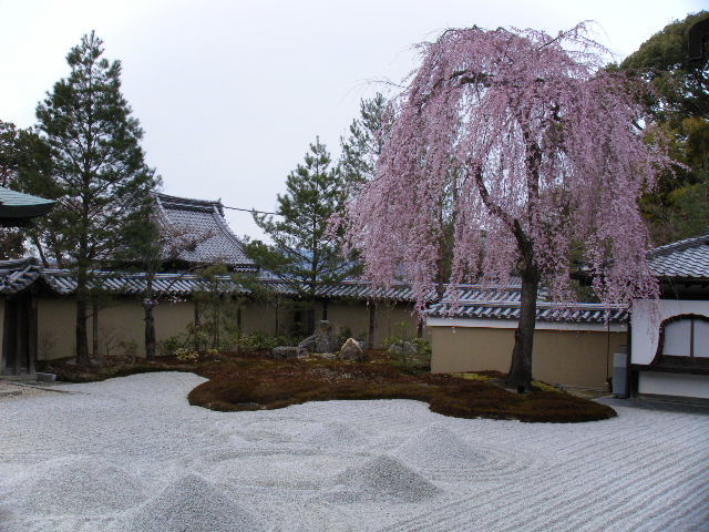 f0236733_2327981.jpg