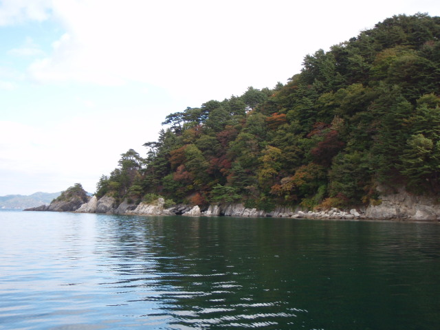 b0213134_1632197.jpg