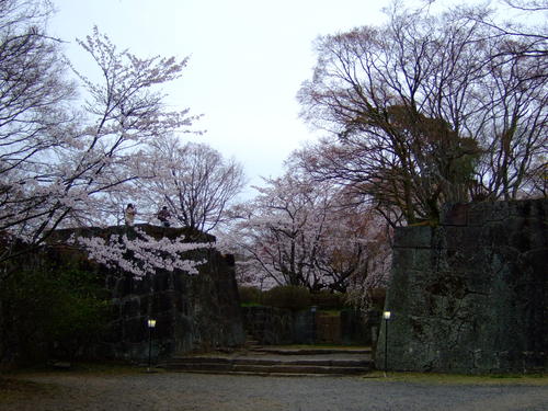 c0038334_2115579.jpg