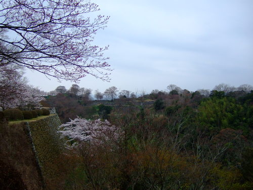 c0038334_2122434.jpg