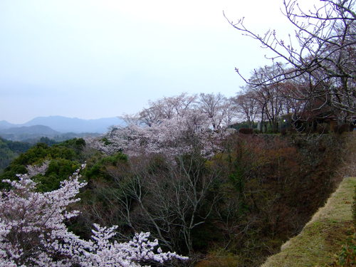 c0038334_212792.jpg