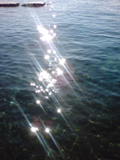 a0013236_1363575.jpg