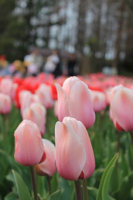 e0200337_2245428.jpg