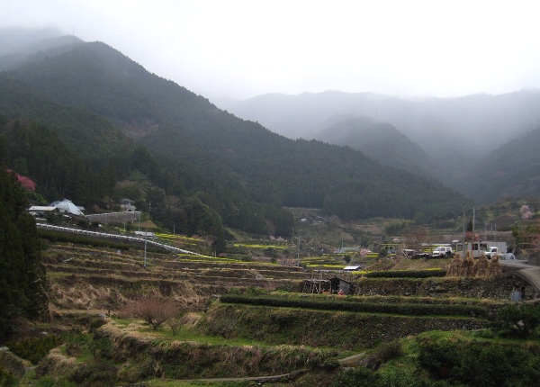 b0149340_20323180.jpg