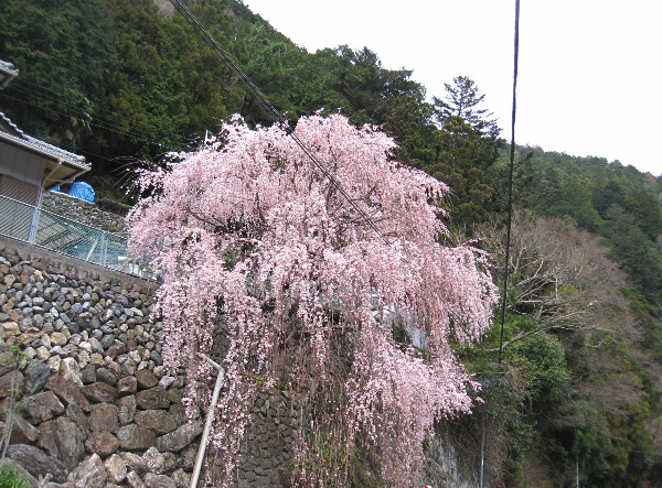 b0149340_20473592.jpg