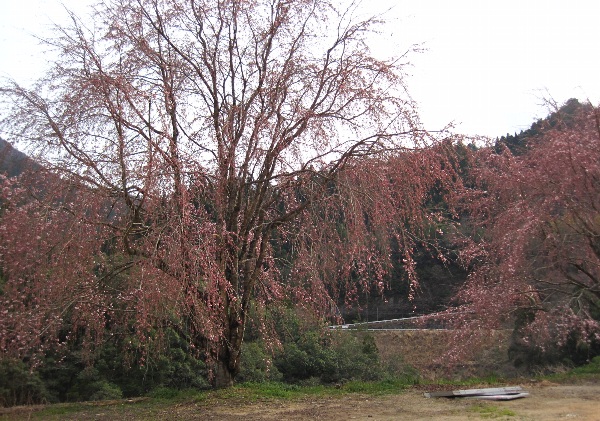 b0149340_2129207.jpg