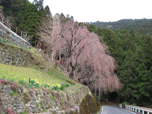 b0149340_2129526.jpg