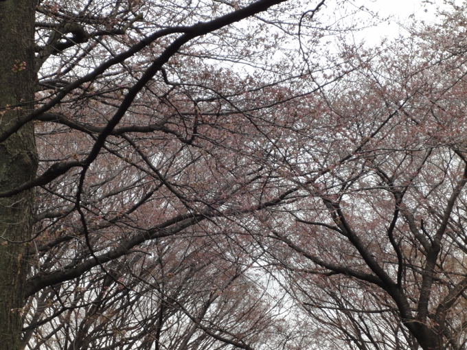 a0051443_17295414.jpg