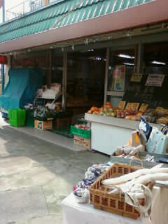 a0068350_0225451.jpg