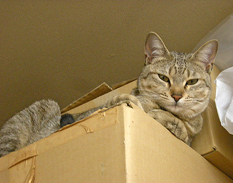 a0001354_222648.jpg