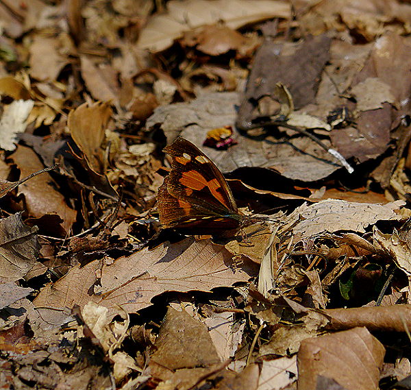 d0091754_284736.jpg