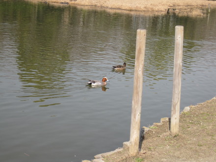e0126054_2291189.jpg