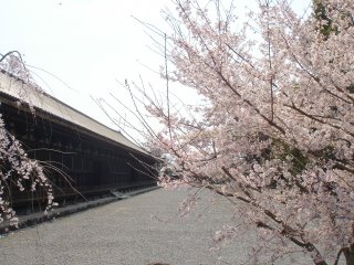 a0087164_18502149.jpg