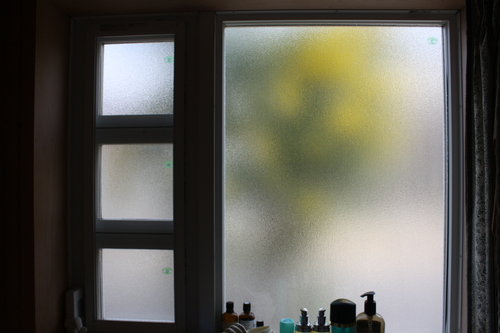 b0178169_15213170.jpg
