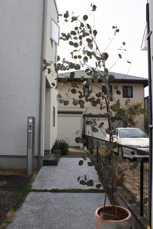 b0178169_1537717.jpg