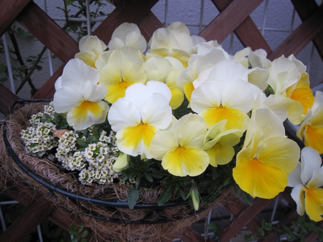 c0202870_0145923.jpg