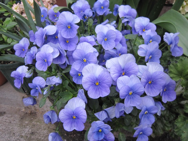 c0202870_015228.jpg