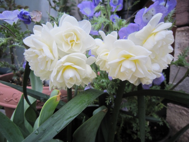 c0202870_0171733.jpg