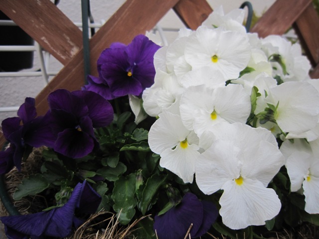 c0202870_0192340.jpg