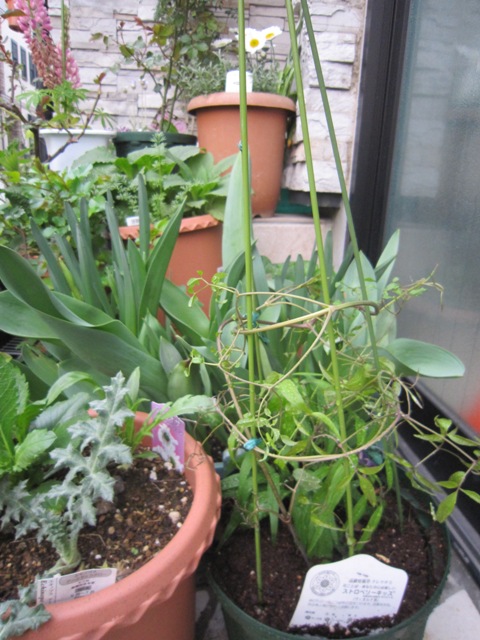 c0202870_0244590.jpg