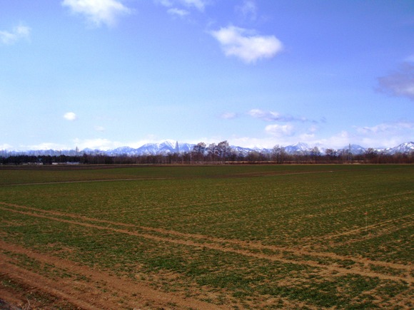 a0169776_20444224.jpg