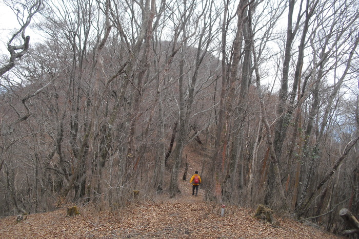 c0019376_2213119.jpg