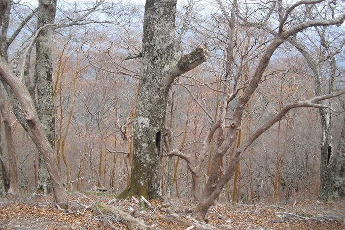 c0019376_2223296.jpg