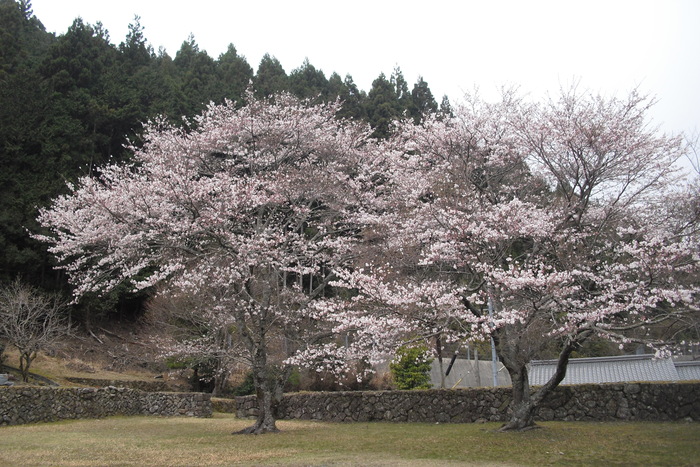 c0019376_22315637.jpg