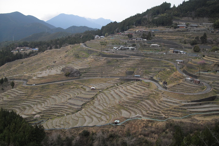 c0019376_22353937.jpg