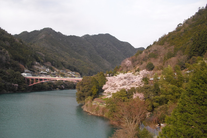 c0019376_22441530.jpg