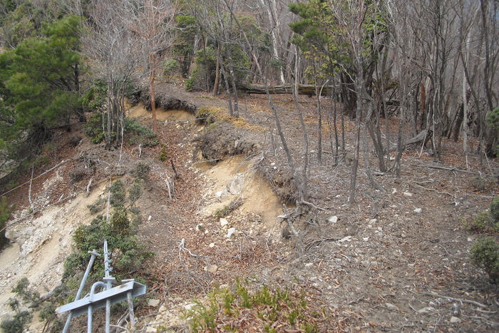 c0019376_2254419.jpg