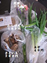 c0174077_11562110.jpg