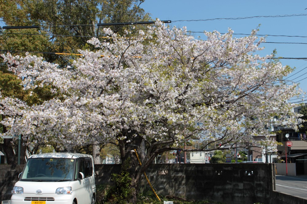f0165677_1759244.jpg