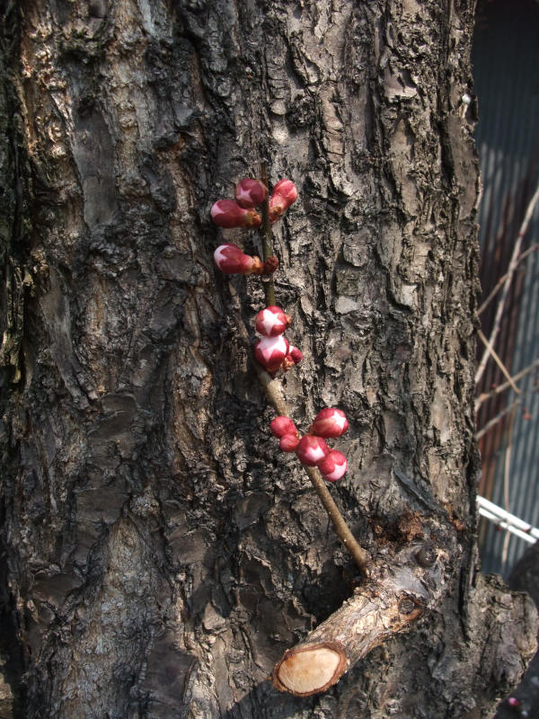 b0083779_025270.jpg